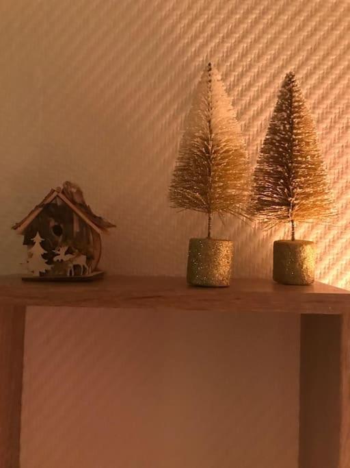 Appartement Aux Pieds Des Remontees Mecaniques Bagnères-de-Luchon 外观 照片